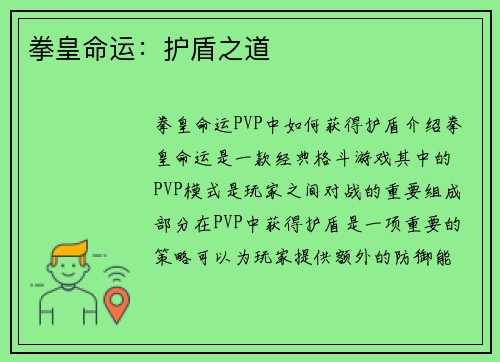 拳皇命运：护盾之道